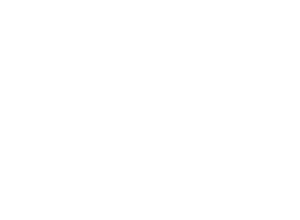Academy IPEGES